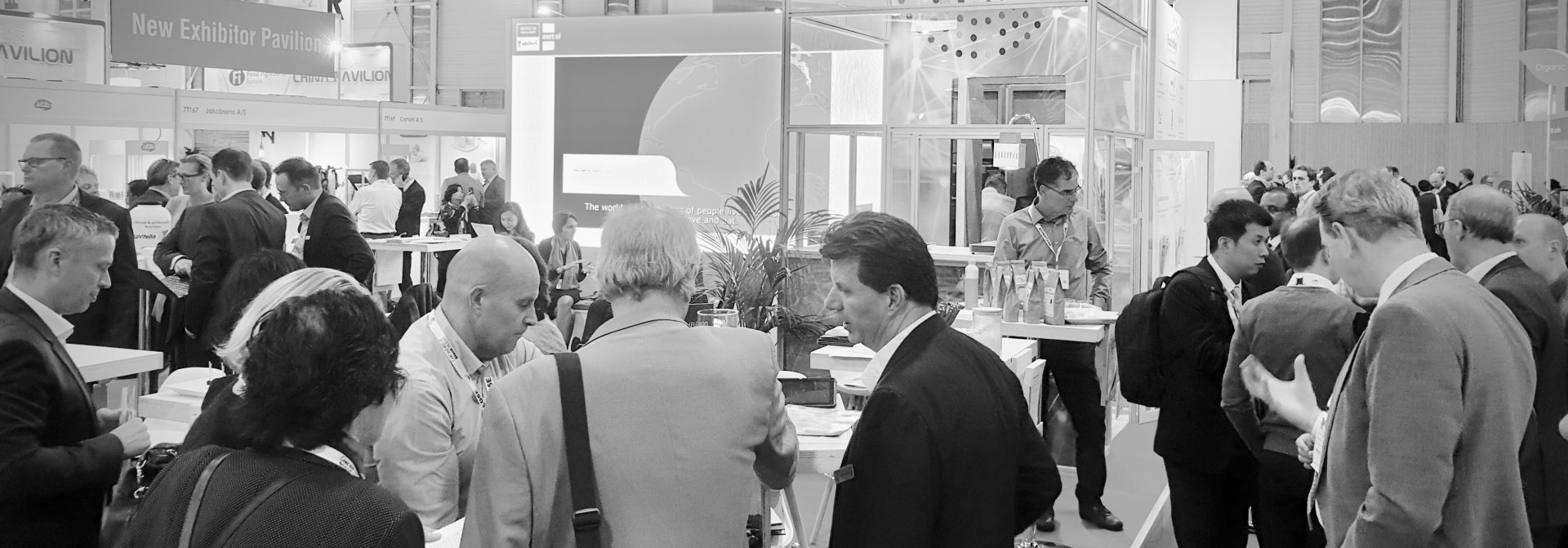 Fi Europe & Ni 2019