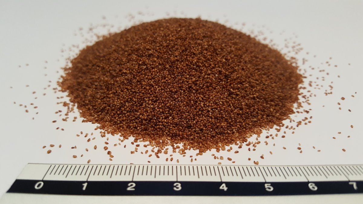 Brown Teff